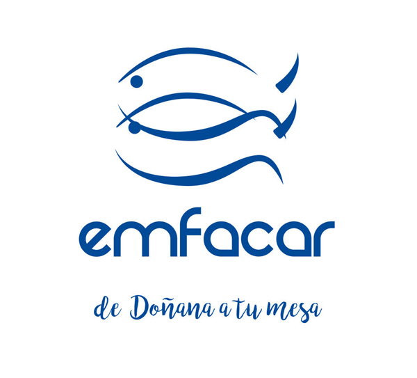 EMFACAR, SL Logo