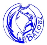 BALOBI PROCESSORS & TRADERS Logo